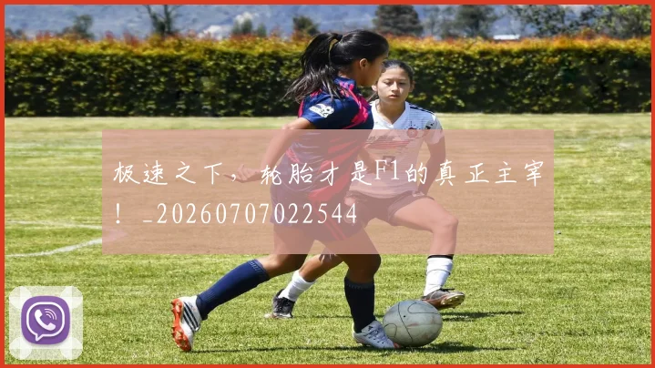 极速之下,轮胎才是F1的真正主宰!_20260707022544