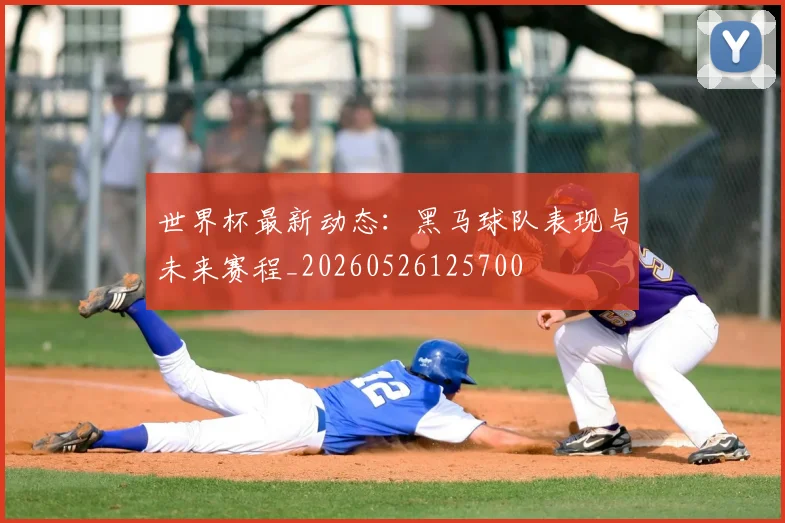 世界杯最新动态：黑马球队表现与未来赛程_20260526125700